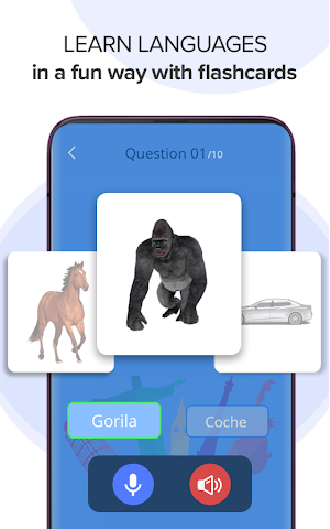 Learn languages - Free language Learning app Screenshot 3