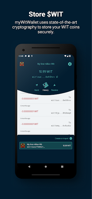 myWitWallet Screenshot 0