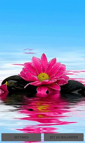 Shiny Pink Flower LWP Screenshot 0