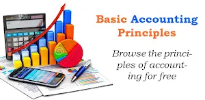 Basic Accounting Principles Screenshot 1