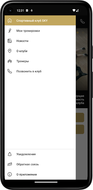 Танцевальноспортивный клуб SKY Screenshot 2
