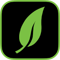 Melinek Fine LLP Accountants