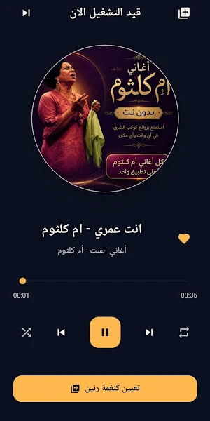 اغاني أم كلثوم بدون نت Screenshot 3