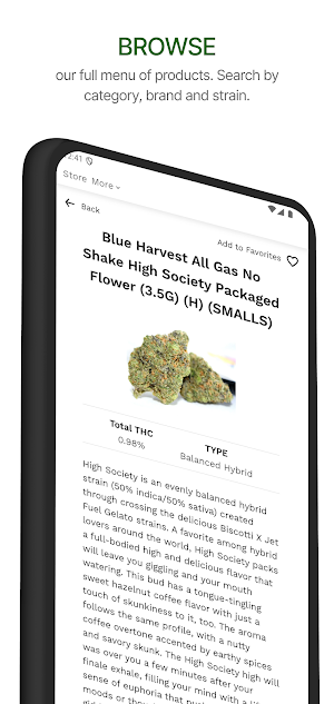 Bud 2 Bloom Screenshot 3
