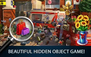 Hidden Object : Secrets Diary Screenshot 0