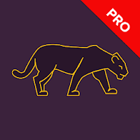 Panther VPN. Fast & Secure WiFi Protection