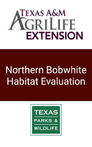 Bobwhite Habitat Evaluation Screenshot 0