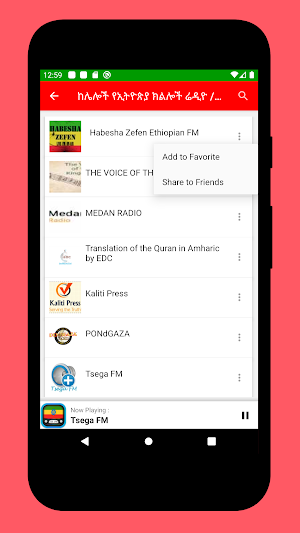 Radio Ethiopia: Ethiopian Stations FM - Live Free Screenshot 1