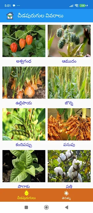 CropSuraksha Screenshot 1
