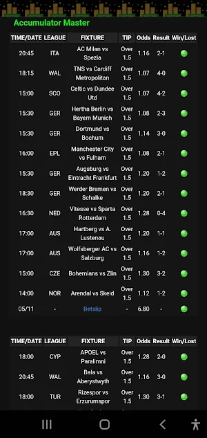 Accumulator Master Screenshot 1