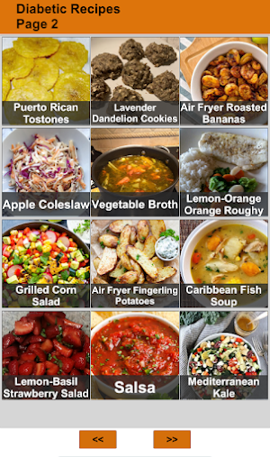 Diabetic Recipes Screenshot 1