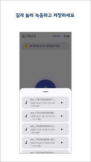 Dolgorecord Screenshot 2