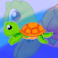 Forest Little Turtle Escape