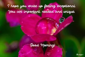 Good Morning Images Screenshot 1