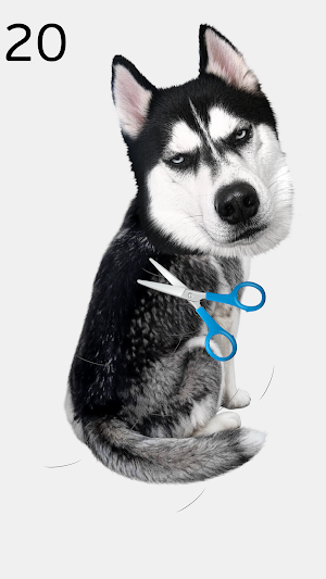 Trim The Dog Screenshot 3