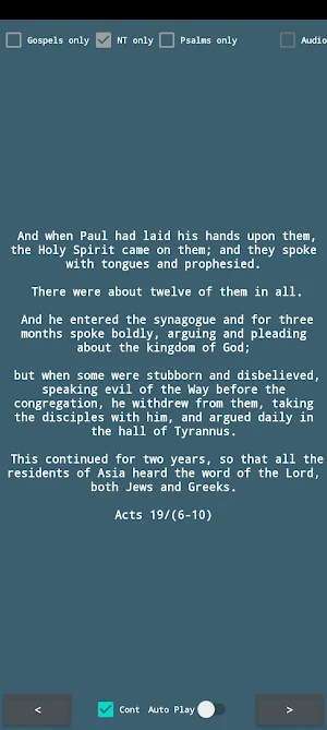 RSV Bible Verses Screenshot 3