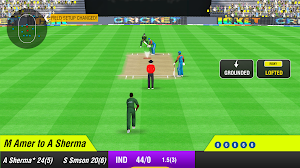 Real Championship Cricket Game Screenshot 1