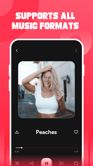 ProMusic: TubeMusic Player Screenshot 0
