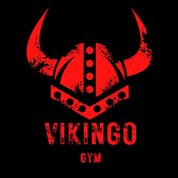Vikingo Gym