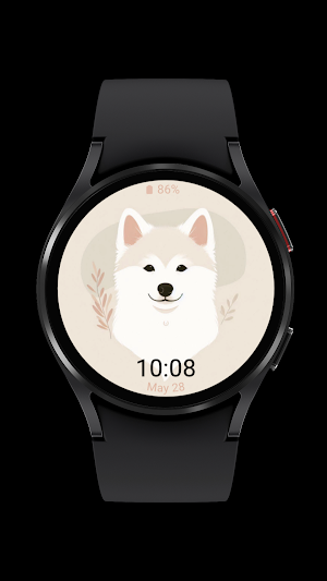 jindo cute_dog_003 Screenshot 1