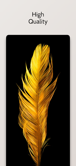 Golden Wallpapers hd 4k Screenshot 2