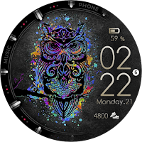 Color Owl Watch Face Wear OS