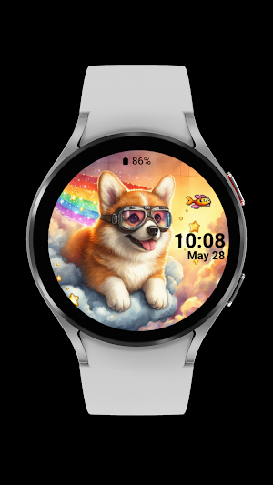 corgi dog_003 Screenshot 2