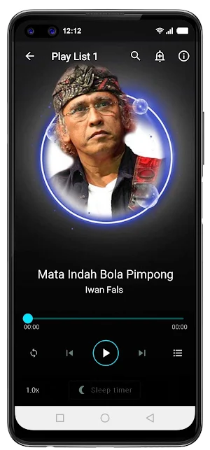 Koleksi MP3 Album Iwan Fals Screenshot 3