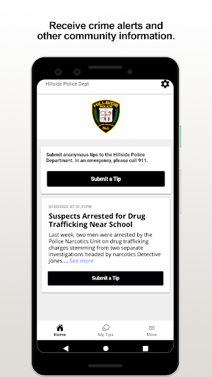 Hillside PD Screenshot 0