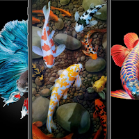 HD Fish Wallpapers