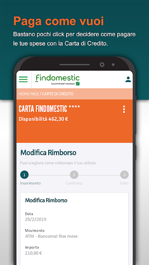 Findomestic Mobile Screenshot 2