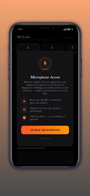 Phone Microphone Tester Screenshot 1