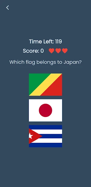 Guess the Flag Master Screenshot 2