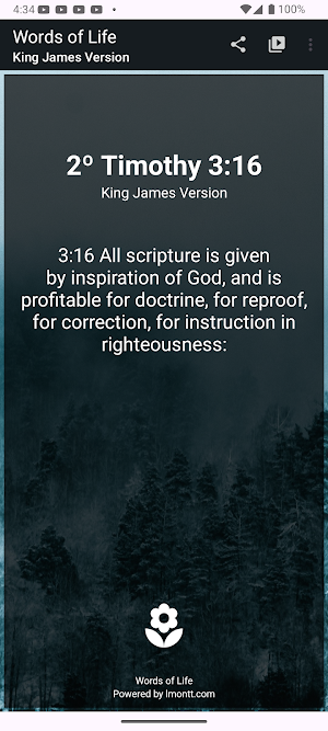Words of Life with Widget Screenshot 3