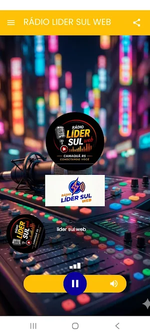 Rádio lider Sul Web Screenshot 0