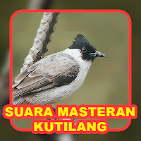 Suara Burung Kutilang