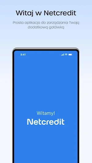 Netcredit Screenshot 3