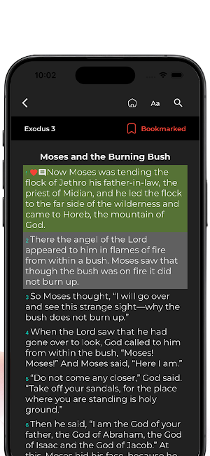 NIV Bible Offline Screenshot 3
