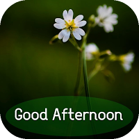 good afternoon pic