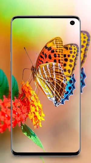 Butterfly Wallpaper - Colorful Butterfly HD & 4k Screenshot 1