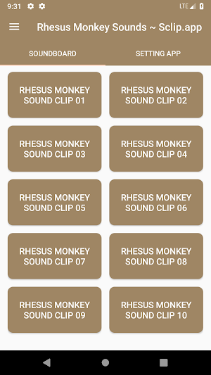Rhesus Monkey Sound Collections ~ Sclip.app Screenshot 0