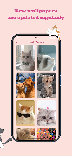 Meow Wallpapers Screenshot 2