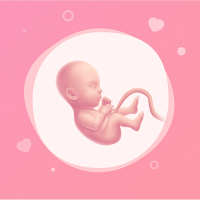 Pregnancy Tracker & Baby Guide