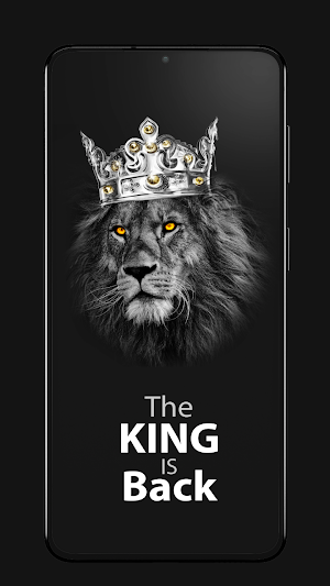 Black Wallpapers HD Screenshot 0