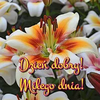 Dzień dobry Miłego dnia!