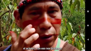 Napa Chomoch Paller Yanesha-ES Screenshot 3