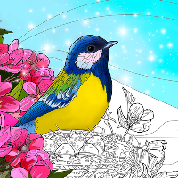 Birds Coloring Art Book
