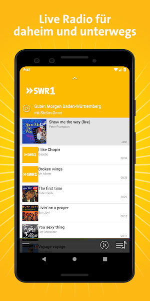 SWR1 Baden-Württemberg Screenshot 0