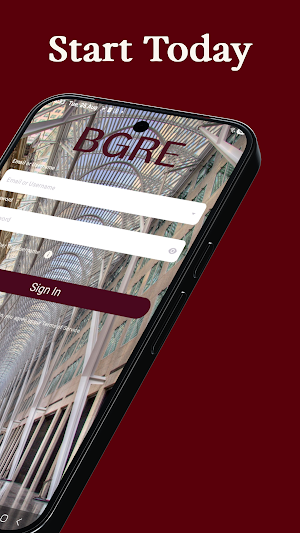 BGRE Screenshot 1