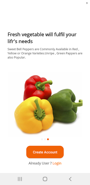 Sabji Mart Bhilwara Screenshot 3